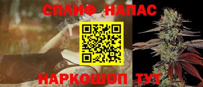 эйфоретик Кингисепп