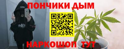 эйфоретик Кингисепп
