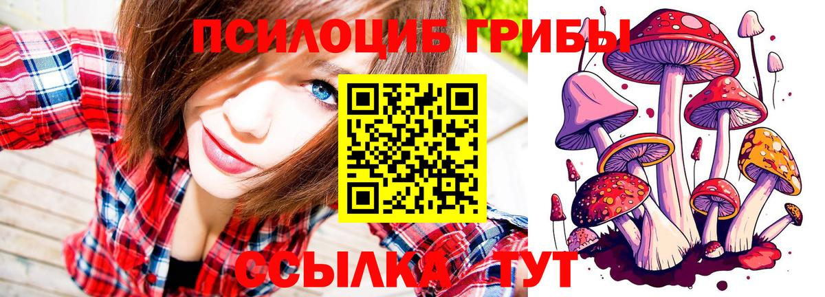 Красноуфимск  Галлюциногенные грибы MAGIC MUSHROOMS  Вход с VPN 